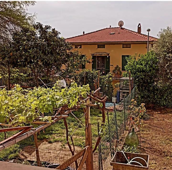 Casa Vacanze Toscana,Lago Di Massaciuccoli Eksteriør billede