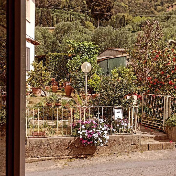 Casa Vacanze Toscana,Lago Di Massaciuccoli Eksteriør billede