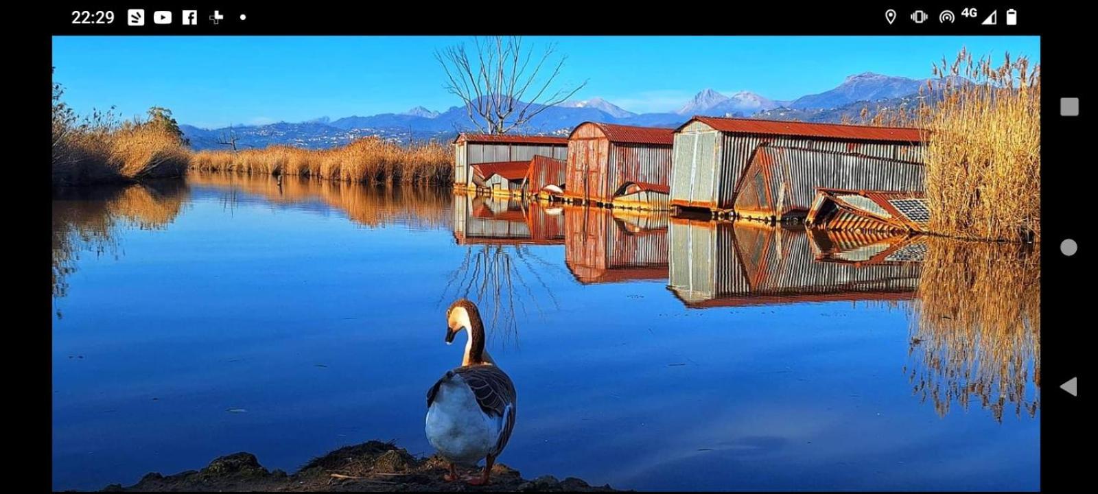 Casa Vacanze Toscana,Lago Di Massaciuccoli Eksteriør billede