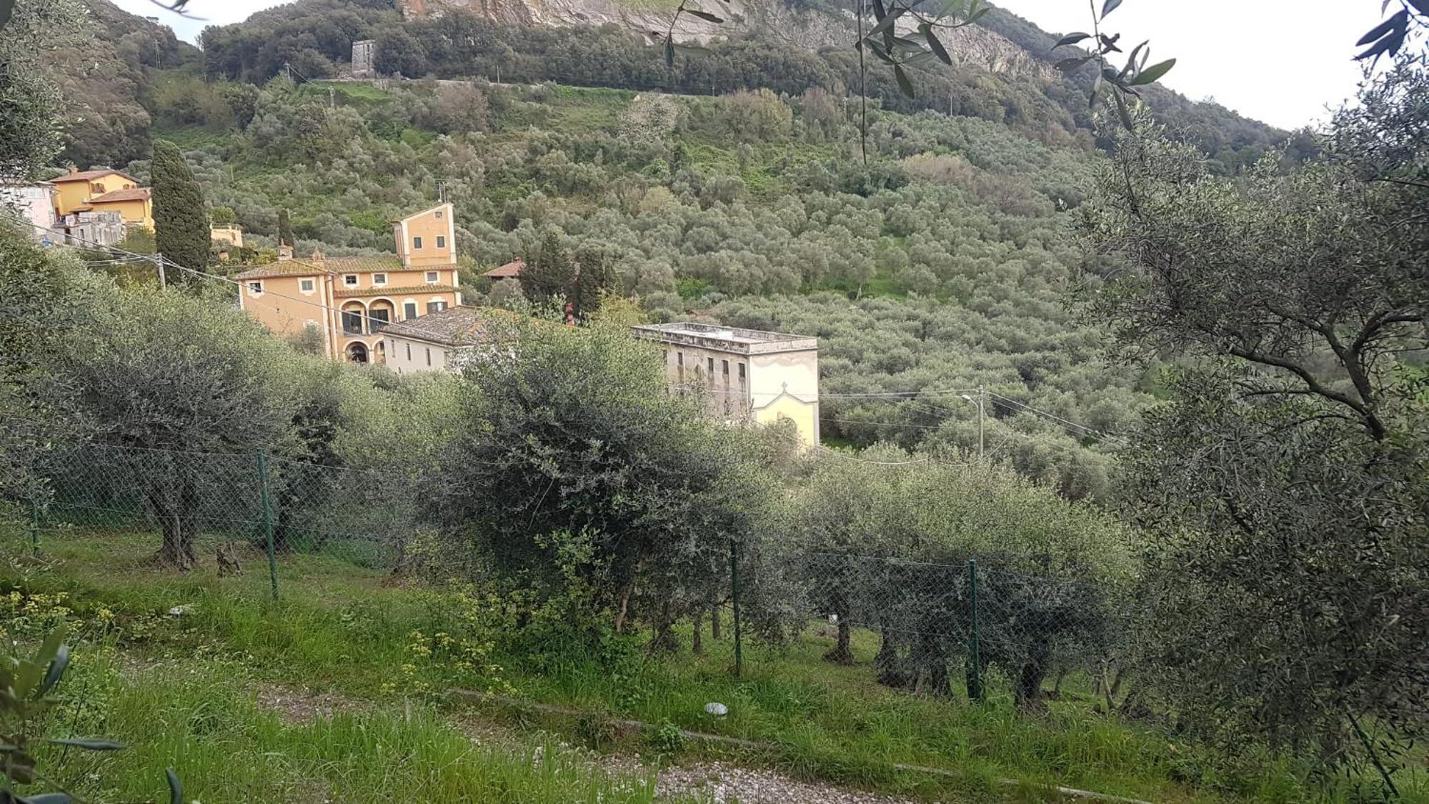 Casa Vacanze Toscana,Lago Di Massaciuccoli Eksteriør billede