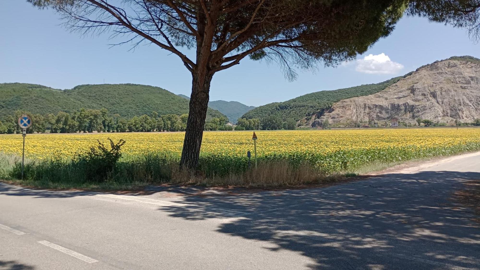 Casa Vacanze Toscana,Lago Di Massaciuccoli Eksteriør billede